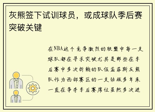 灰熊签下试训球员，或成球队季后赛突破关键